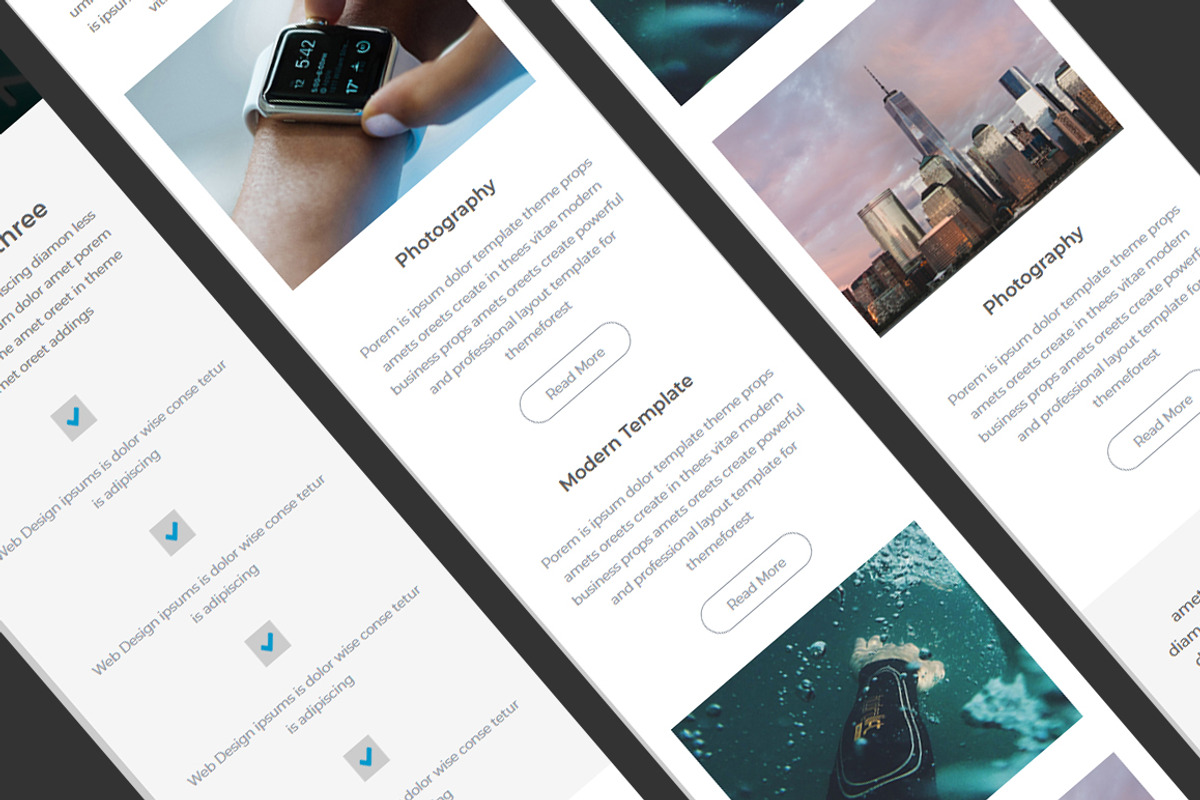 Alpo - Responsive Email Template, an Email Template by QuickArtisan (Photo 4 of 6)