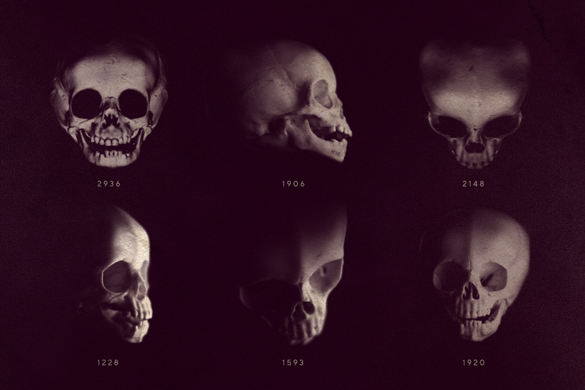 Skull Brushes, a Brush Add-On by RuleByArt (Photo 9 of 10)