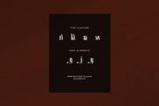 Maverick Luxury Serif Font, a Serif Font by Perfectype (Thumbnail 8 of 8)