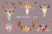 Wild Collection - Skulls and Antlers, a Decorative Illustration by MaraquelaStudio (Thumbnail 6 of 10)