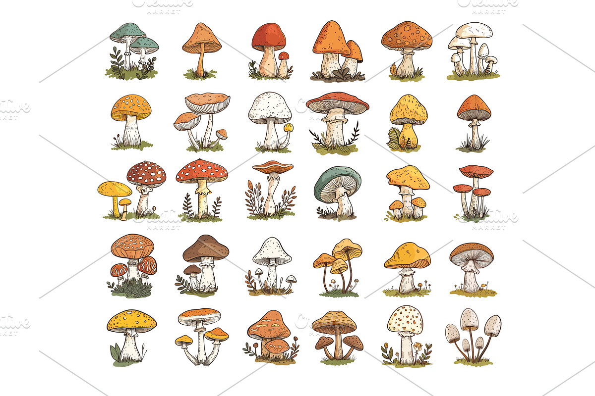 Mushrooms in colored linear detailed, a Food Illustration by Onyx