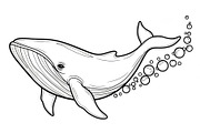 Whale Line Art Vector Bundle, an Illustration by yasushie (Thumbnail 18 of 51)