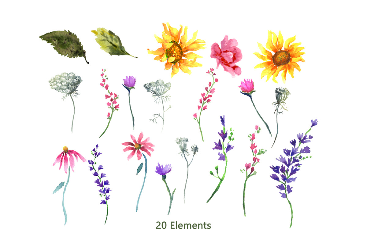 Sunflowers & Wildflowers Clip Art, an Illustration by Graphic Blue Bird (Photo 5 of 8)
