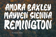 Baxia Jord Modern Display Font, a Handwritten Font by Maulana Creative (Thumbnail 2 of 8)