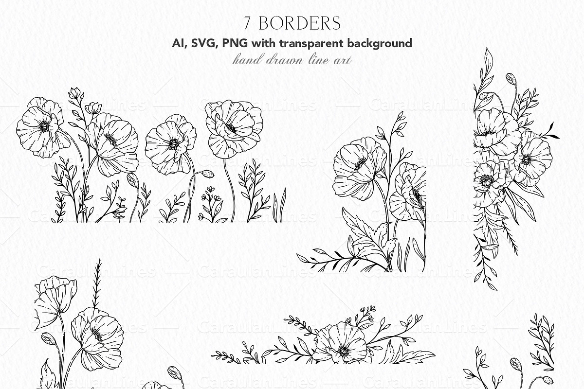 Poppy Line Art, an Object Graphic by CaraulanStore (Photo 4 of 6)