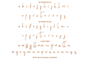 Hilmounte - Authentic Signature, a Script Font by tebaltipislab (Thumbnail 11 of 12)