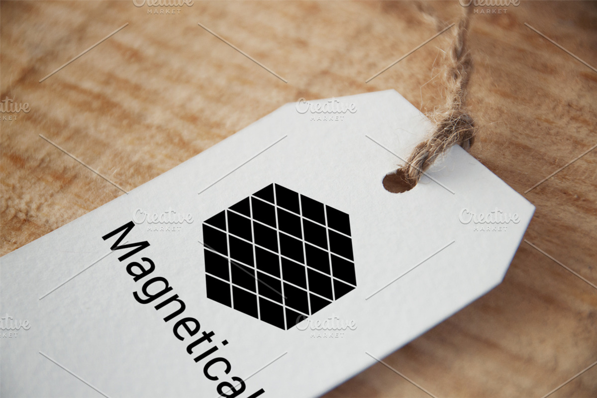 Hexagon Logo Premade, Big Bundle, a Branding & Logo Template by Artha Desain (Photo 9 of 11)