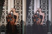 Black Tone Lightroom presets, a Preset Add-On by AAA Presets (Thumbnail 4 of 19)