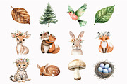 Cute Forest Animals Clip Art, an Illustration by Design Market (Thumbnail 4 of 5)