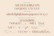 Harfine Modern Serif Font, a Serif Font by Letterena Studios (Thumbnail 13 of 15)