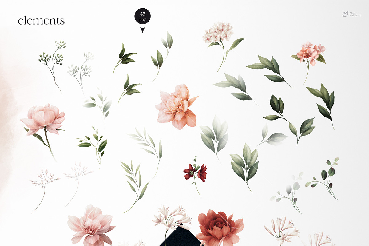Flowers collection, floral clipart, an Illustration by ollalya (Photo 12 of 14)
