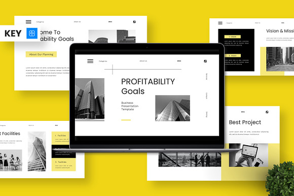 Profitabilty Goals - Business Key preview 7