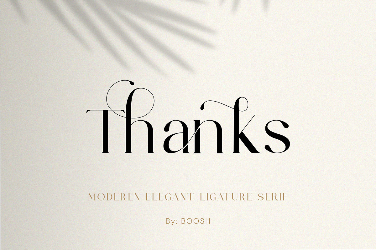 Baginda - Modern Ligature Typeface, a Serif Font by BOOSH Studio (Photo 14 of 14)