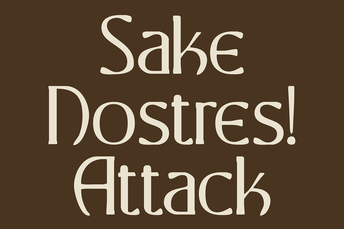 CS Marius Drawn, a Serif Font by Craft Supply Co. (Photo 2 of 8)