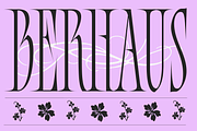 Bersa Serif | Narrow Serif, a Serif Font by Jolicia Type (Thumbnail 4 of 16)