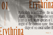 Margrite - Tall Serif Font Family, a Font by AndrewPixelType (Thumbnail 4 of 9)
