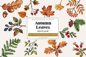 Autumn Leaves Watercolor Clipart PNG