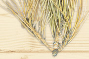 Autumn Floral Mockup Objects, an Object Graphic by uncle-rico (Thumbnail 10 of 13)
