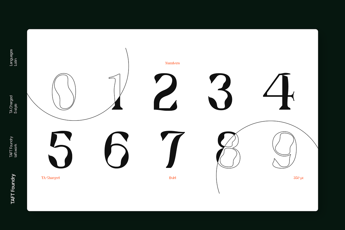 TA Charged, a Serif Font by TAFT Foundry (Photo 4 of 19)