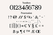 Classic Moment | Retro Typeface, a Serif Font by Muntab_Art (Thumbnail 13 of 13)