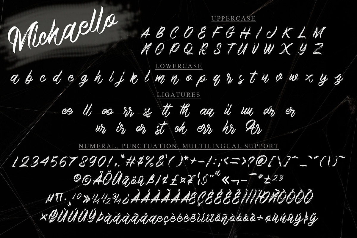 Michaello, a Script Font by Letterara (Photo 9 of 10)