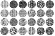 Animal print Procreate 100 brush set, a Brush Add-On by Elenbushe (Thumbnail 5 of 7)