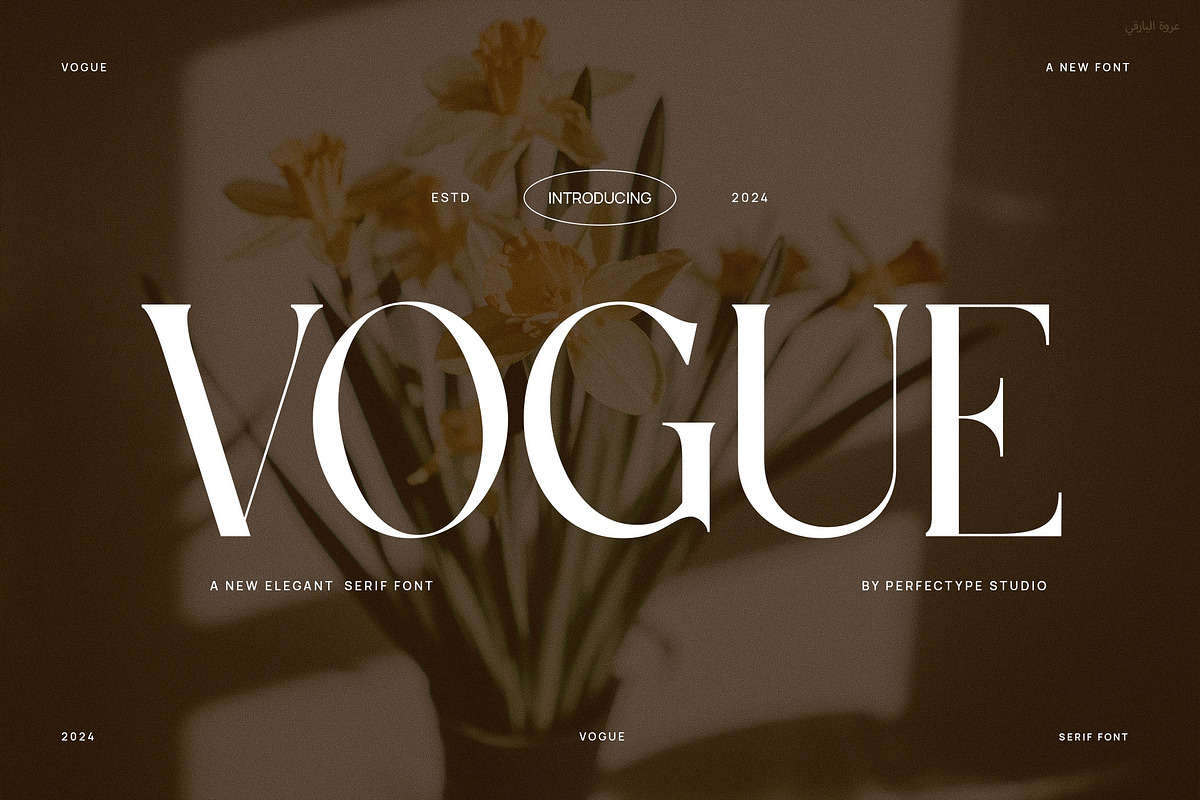 Vogue Elegant Serif Font, a Serif Font by Perfectype (Photo 1 of 6)