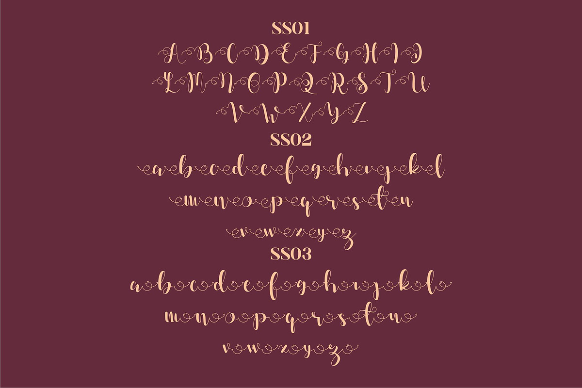 Dahllia Claire Script LS, a Script Font by GranzCreative (Photo 4 of 20)