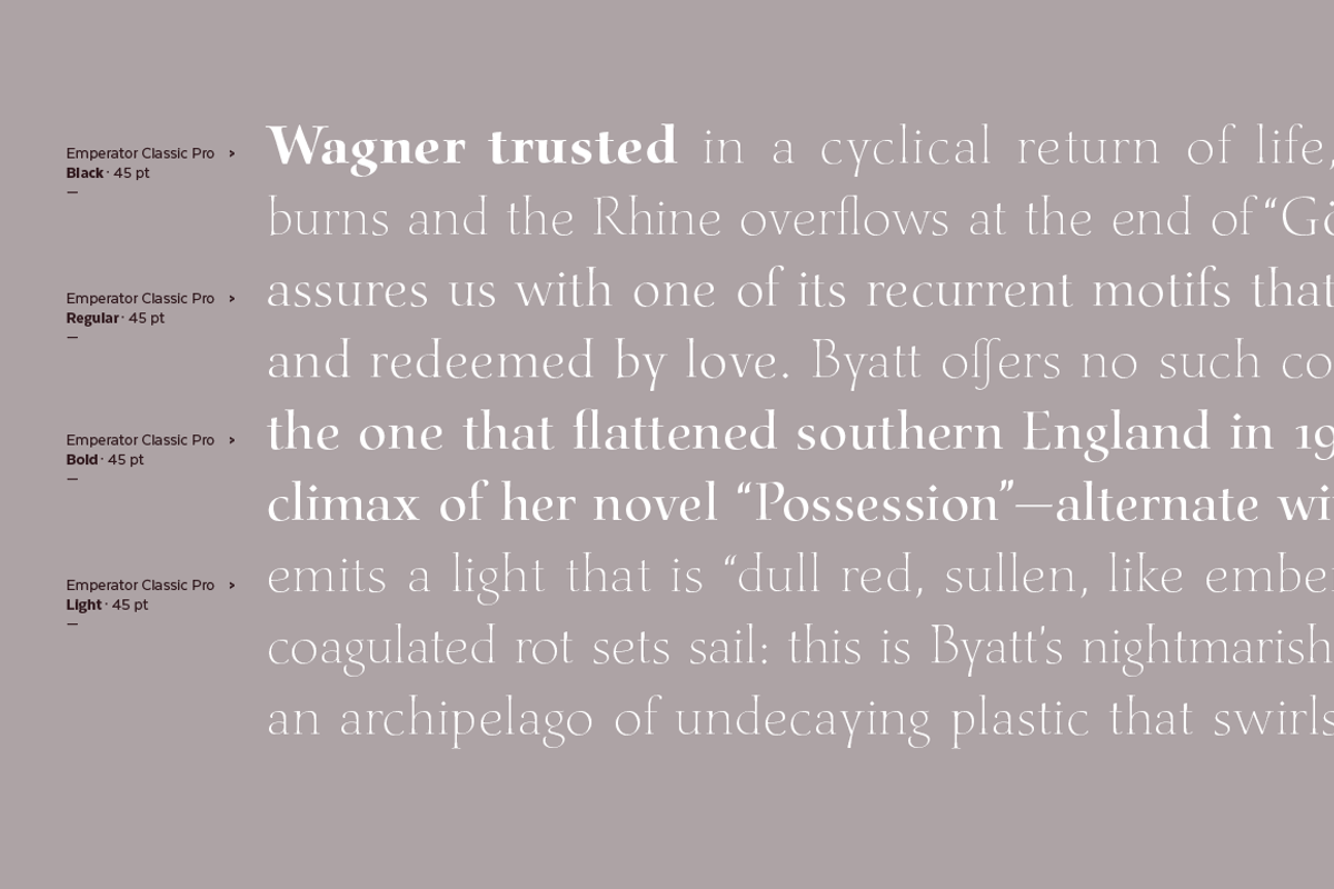 Emperator, a Serif Font by Latinotype (Photo 7 of 15)