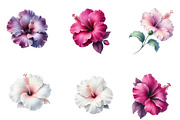 Watercolor Hibiscus Clipart, an Illustration by Designworld (Thumbnail 5 of 5)