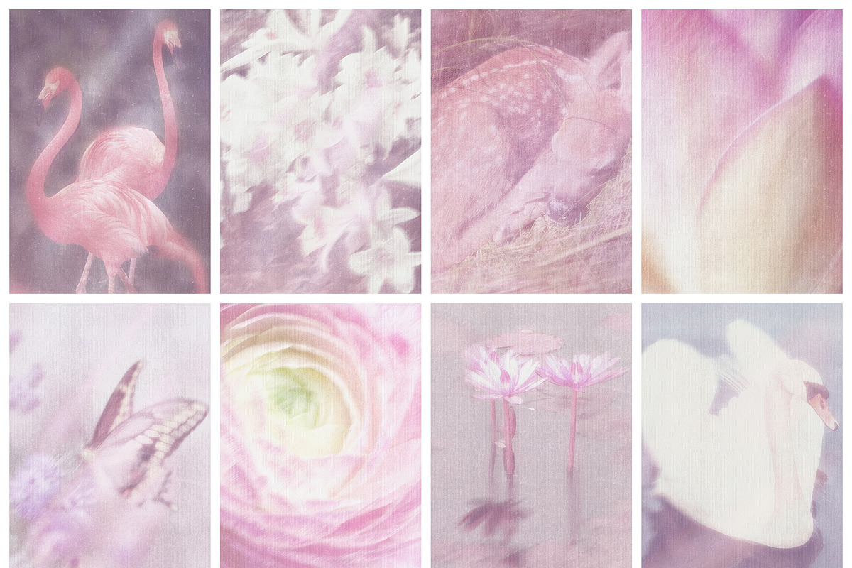 Rosewater Dreamy Pastel Backgrounds, a Background Graphic by alonahaidash (Photo 12 of 16)