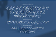 Hinora Signature Elegant Script Font, a Script Font by RHD Creative Studio (Thumbnail 11 of 12)