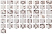 MEGA Mockup Images Bundle, a Product Mockup by Kaya Fonts (Thumbnail 36 of 44)
