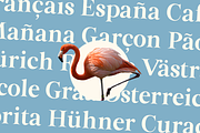 Altahera Display - Serif Display, a Serif Font by Indotype Foundry (Thumbnail 5 of 10)