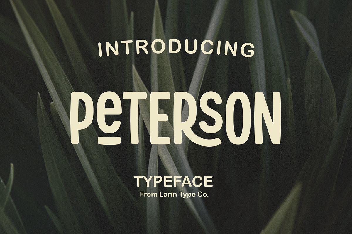 Peterson, a Sans Serif Font by Larin Type Co. (Photo 1 of 11)