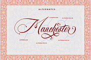 Glamorous Carpet - Luxurious Font, a Script Font by PutraCetol Studio (Thumbnail 9 of 11)