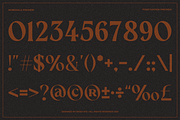 Eregine Retro Display Serif Font, a Serif Font by Rasio Studio (Thumbnail 4 of 10)