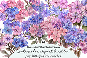 watercolor phlox cluster flowers, an Illustration by GatewayDesign (Thumbnail 1 of 9)