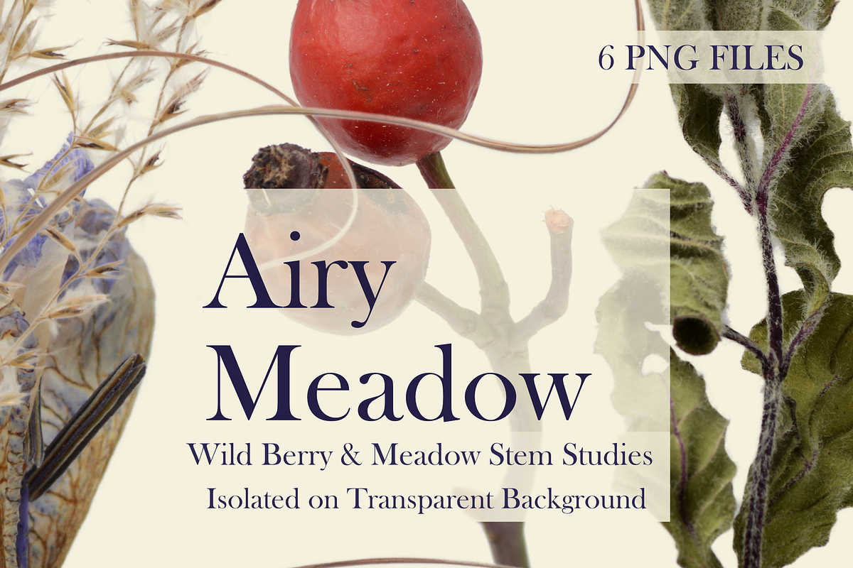 Airy Meadow Cleanly Cut Flower Photo, an Object Graphic by Aga Silva (Photo 2 of 7)