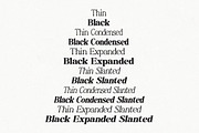 Baskerville Display Pro, a Serif Font by Positive TypeFoundry (Thumbnail 8 of 23)