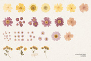 242 Vintage Dried Flowers, an Object Graphic by Ksuview (Thumbnail 3 of 11)