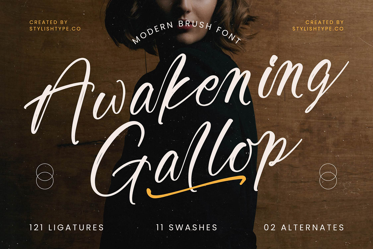 Awakening Gallop Modern Brush Font, a Script Font by stylishtype.co (Photo 1 of 20)