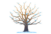Set of oak tree in four seasons, an Illustration by Oceloti (Thumbnail 2 of 5)