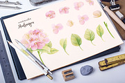 Watercolor hydrangea, an Illustration by Colibri Watercolor (Thumbnail 2 of 2)