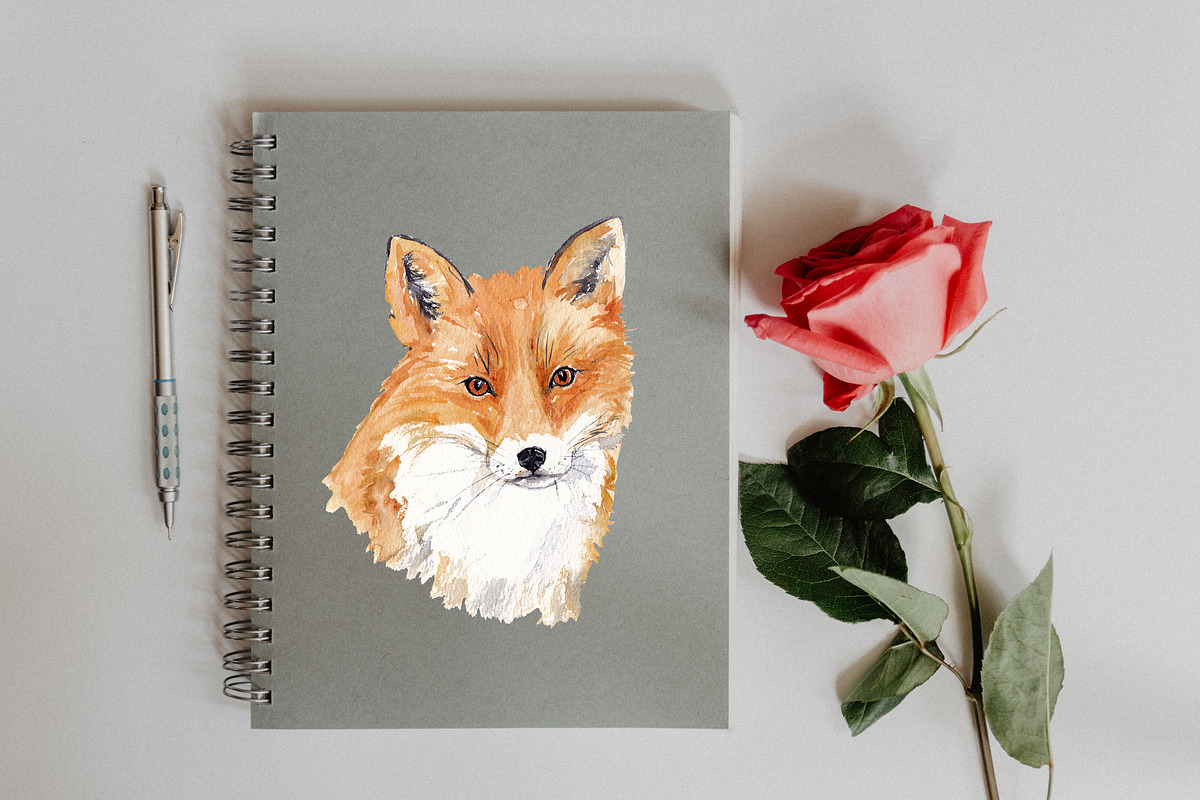 Watercolor Fox Illustration, an Animal Illustration by Foxery Digital (Photo 5 of 5)