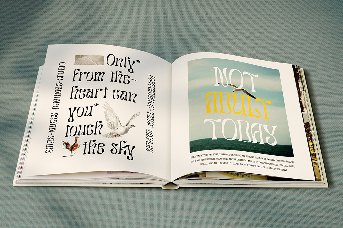 Salty Mussy - Quirky Twisted Display, a Sans Serif Font by Dharmas Foundry (Photo 5 of 15)