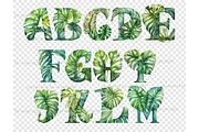 Monstera Alphabet Clipart, a Seasonal Illustration by GlamArtZhanna (Thumbnail 4 of 5)