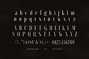 Monte Elegant Serif Font, a Serif Font by Graphicxell (Thumbnail 8 of 8)