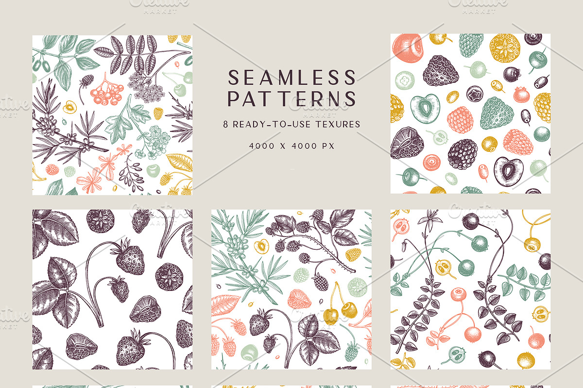 Berry Sketches. Berries Design Set, a Food Illustration by Yevheniia (Photo 7 of 8)