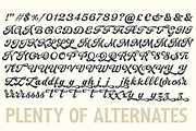 Arlington League -Sport Font Duo, a Script Font by Fenotype (Thumbnail 13 of 15)